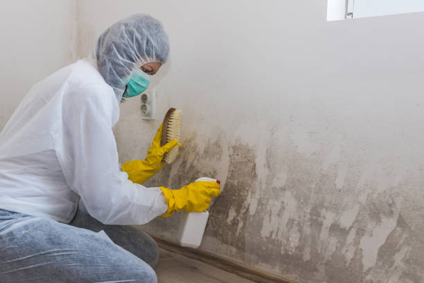 Best Mold Remediation for Healthcare Facilities  in Flemington, GA